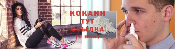 шишки Елабуга