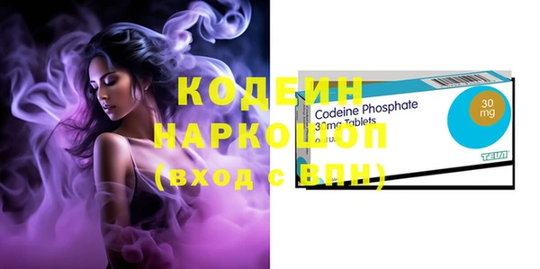 шишки Елабуга