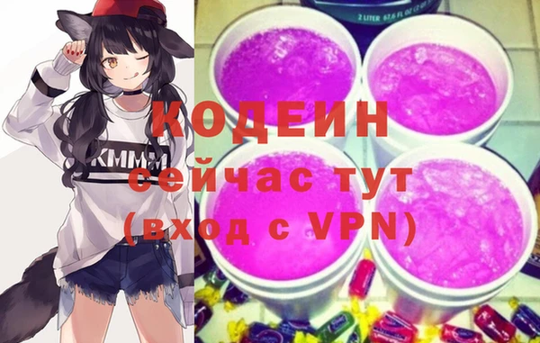 шишки Елабуга
