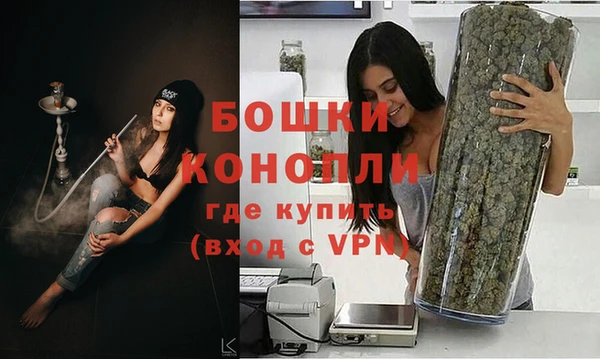шишки Елабуга