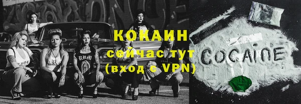 шишки Елабуга