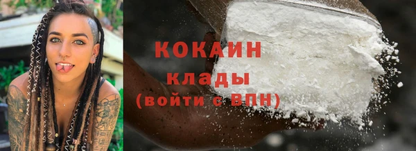 шишки Елабуга