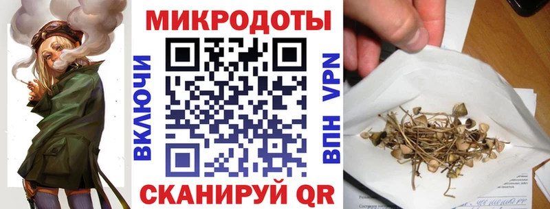 Галлюциногенные грибы ЛСД Старица